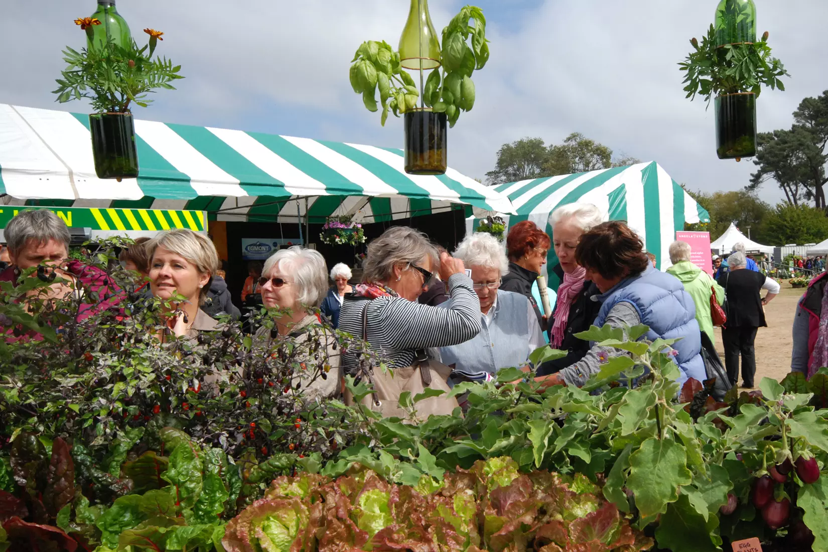 Ellerslie International Flower Show Exhibit - Sinclair Creative Agency