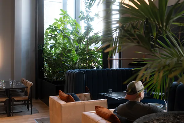 Element's café large parlour palms & planters by Oasis — Photography by Sinclair Creative