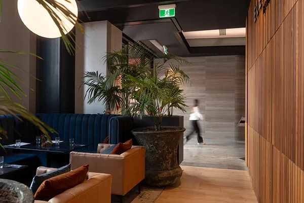 Element's café large parlour palms & planters by Oasis — Photography by Sinclair Creative