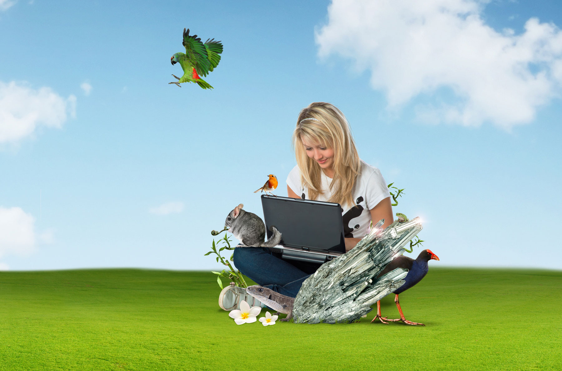 Girl using laptop with animals surrounding her