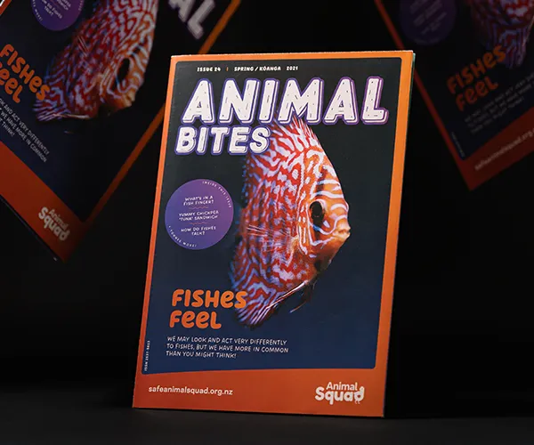 print cover design for Animal Squad's, Animal Bites newsletter by Sinclair Creative Agency