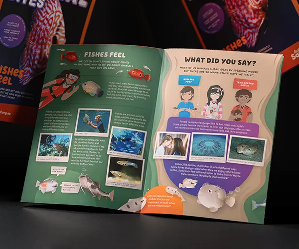 Friendly Children's illustrations and newsletter design for Animal Squad by Sinclair Creative Agency