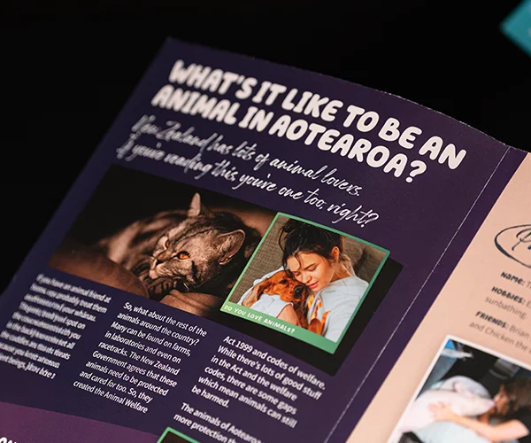 Playful and fun typography for Animal Rights for Safe Animal Squad by Sinclair Creative Agency